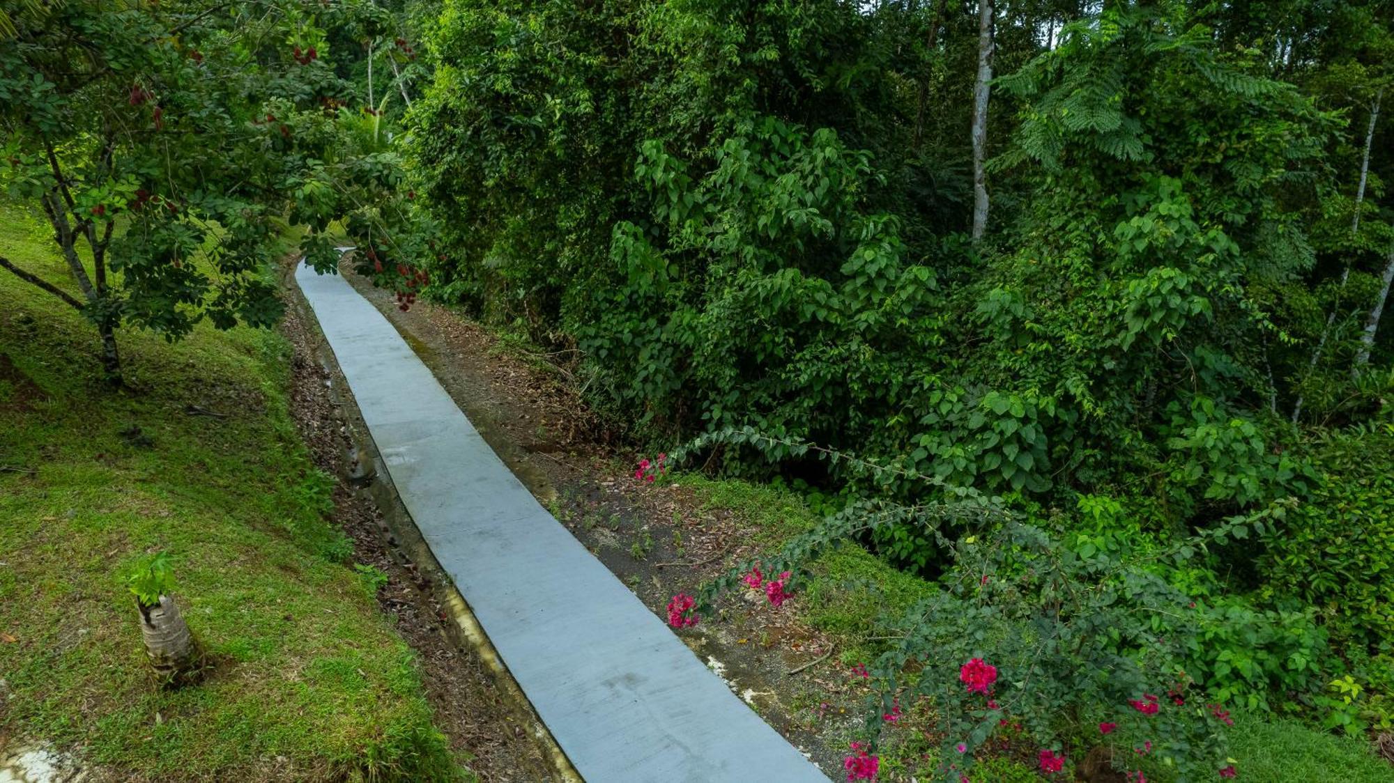 Serenity Rainforest Condos La Fortuna Extérieur photo